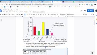 Column Graphs - yr 8