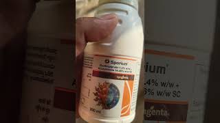 sporium fungicide syngenta #ytshorts #farming