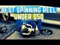 Best Spinning Reel under $50, Shimano Nexave