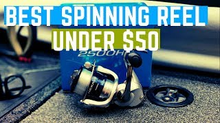 Best Spinning Reel under $50, Shimano Nexave
