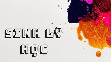 SINH LÝ - SINH LÝ HỆ NỘI TIẾT - PHẦN 1 - 28/06/2022