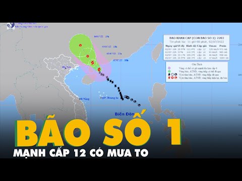 Video Bão số 1 mạnh cấp 12, Đông Bắc Bộ mưa lớn - youtube
