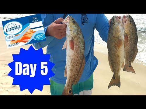 These Rigs Drive Pompano NUTS! Surf Fishing Florida East Coast