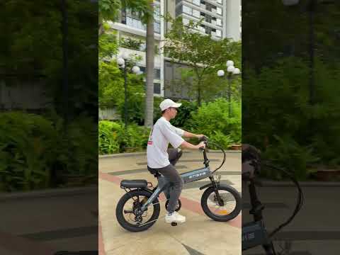 Xe đạp điện