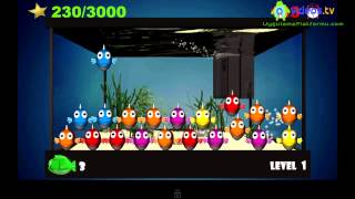 Android  Tap the Fish - Pocket Aquarium screenshot 1