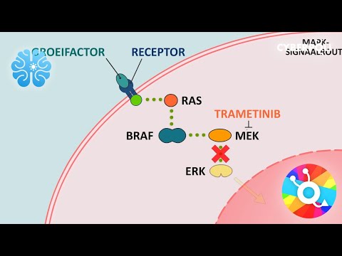 Video: Ubiquitin: Wat Het Is En De Rol Ervan Bij Gerichte Kankertherapie