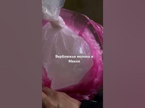Верблюжье молоко в Мекке - YouTube