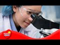 Understanding Observations in Science