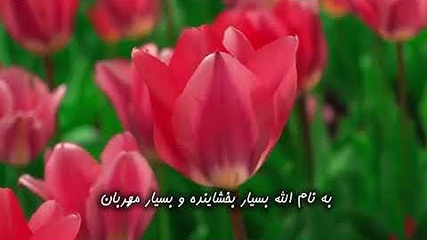 تلاوت آیات  ۲۷ الی ۳۰ سوره فجر - قاری شیخ عبدالباسط عبدالصمد - همراه با ترجمه فارسی