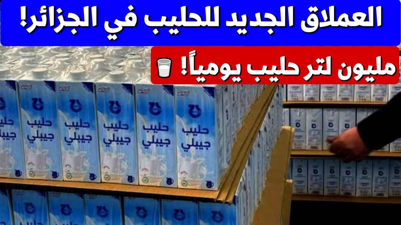 تدشين أكبر ملبنة UHT في إفريقيا.. خطوة نحو الاكتفاء الذاتي