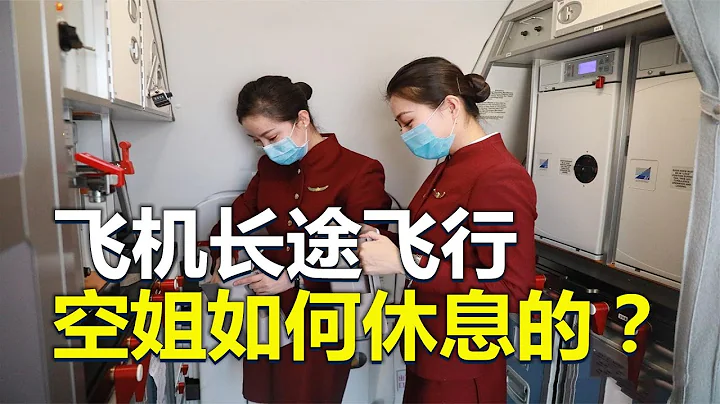 长途飞行，空姐是如何在飞机上睡觉的？原来有隐藏空间 - 天天要闻