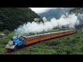 大井川鐵道SL急行 C11・きかんしゃトーマス号・C56 ～2014年8月～