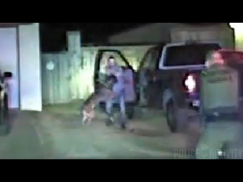 dashcam-video-of-k-9-taking-down-man-pretending-to-have-gun