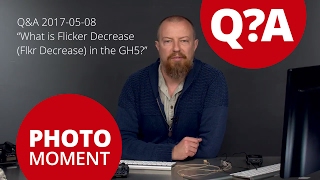 Q&A: GH5 'What is Flicker Decrease? Is it Synchro Scan?' — PhotoJoseph’s Photo Moment 2017-05-08