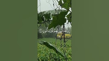 استمع🎧إلى تلاوة خاشعة🌿لسورة المعارج بصوت الشيخ عبد الحميد الششتاوي📖| تلاوة تريح القلب #القرآن_الكريم