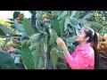 Have you ever eaten cactus before? / Yummy grilled cactus and grilled shrimps / Cooking with Sreypov