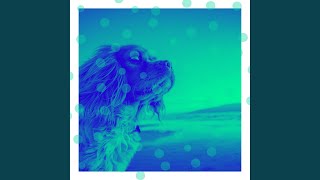 Fiery Ambiance for Calming Hound
