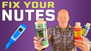 Download lagu How to Adjust Hydroponic Nutrients for Beginners