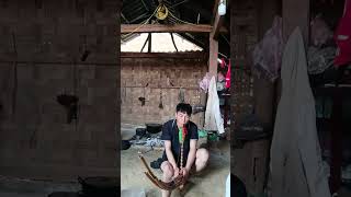 Qeej nguj dab @SuabCua-p2u 