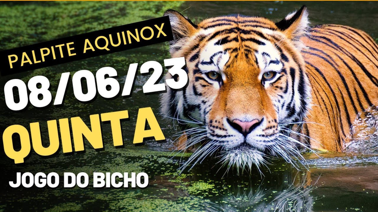 Palpite para o jogo do bicho de hoje 08/06/23 Palpite Aquinox ⭐ Para ...