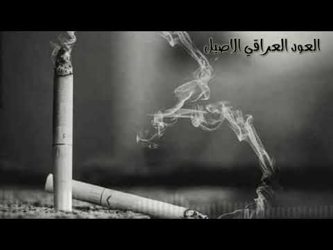موال عراقي اريد اكعد بهيمه