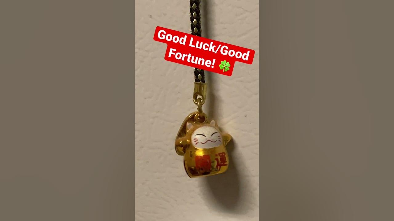 Lucky Maneki Neko Cat! | Good Luck/Good Fortune! | New Year Fortune! #shorts