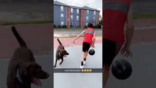 Fails And Memes Of The Day Humans Are Dumb