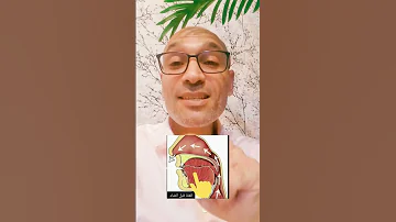 الغن ة المفخ مة متى وكيف 