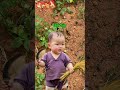 Vợ chồng tình nghĩa dài lâu #funny #shortvideo #viral #cuocsong