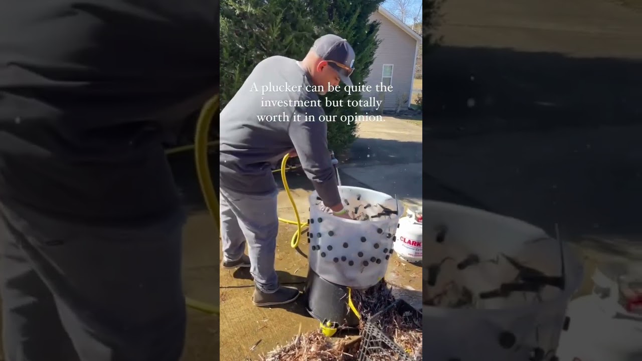 Long Lasting Feather Plucker 