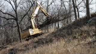Ranchland Development - Tree clearing