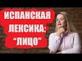 ЛИЦО / Части лица на испанском / Части тела на испанском / Видео-словарь / Partes del cuerpo la cara