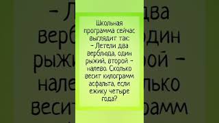 Смешные анекдот #юмор #хахахах #прикол #подпишись