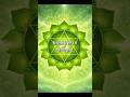Breathe into the heart #deltameditation #heartbraincoherence #heartchakra