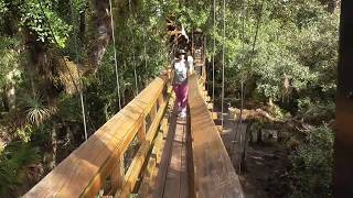 10242019: The Canopy Walkway at Myakka River State Park.