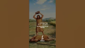 سورة المائدة ٤٠-٣١ Surah Al-Ma'idah ayat 30-31