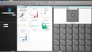 Improve Accuracy In Your Flow Cytometry Data Ysis With The Attune Cytpix Flow Cytometer