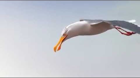 Unity is strength short animated inspirational video