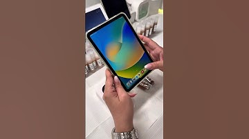 Makeup Transplant + KitSplit