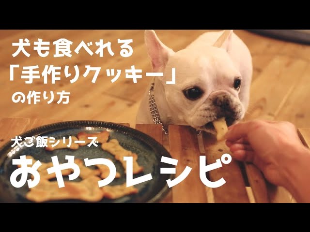 犬おやつ クッキー 手作り 米粉で作ったバナナクッキーの作り方 フレンチブルドッグ Youtube