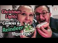 Christmas Lights and Reindeer at Fulton Valley Farms | Vlogmas Day 9