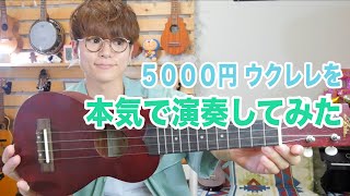 【お手頃ウクレレ】5000円のウクレレでハナミズキを演奏してみた - Aria AU-1