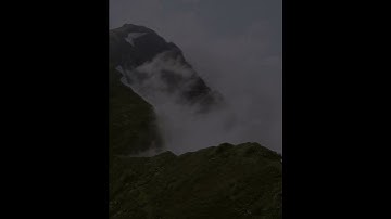 سورة الزمر (إِنَّكَ مَيِّتٌ وَإِنَّهُم مَّيِّتُونَ) | ياسر الدوسري