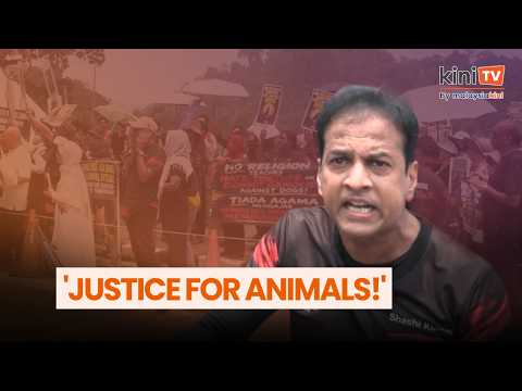 Groups call on govt to allocate budget for humane stray management