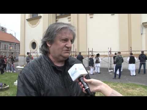 Francisc Boldea BATUT TOACA 