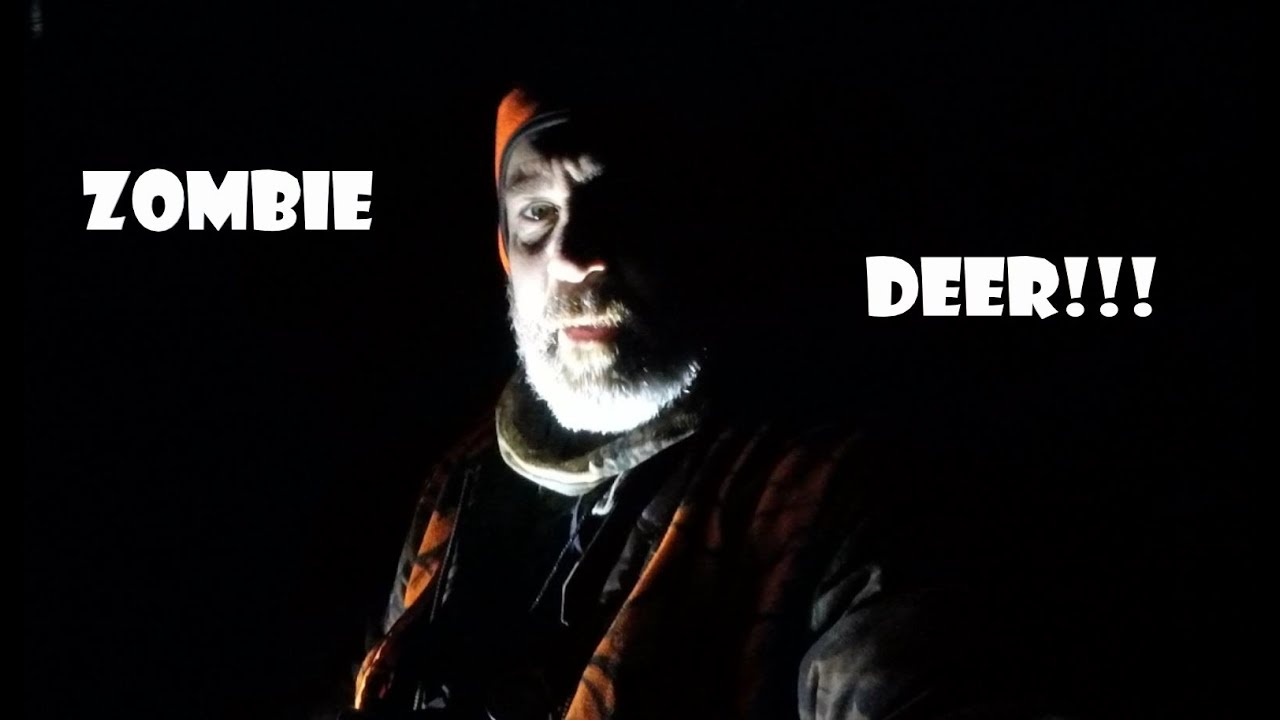 ZOMBIE DEER We have CWD on The Ridge!!! YouTube