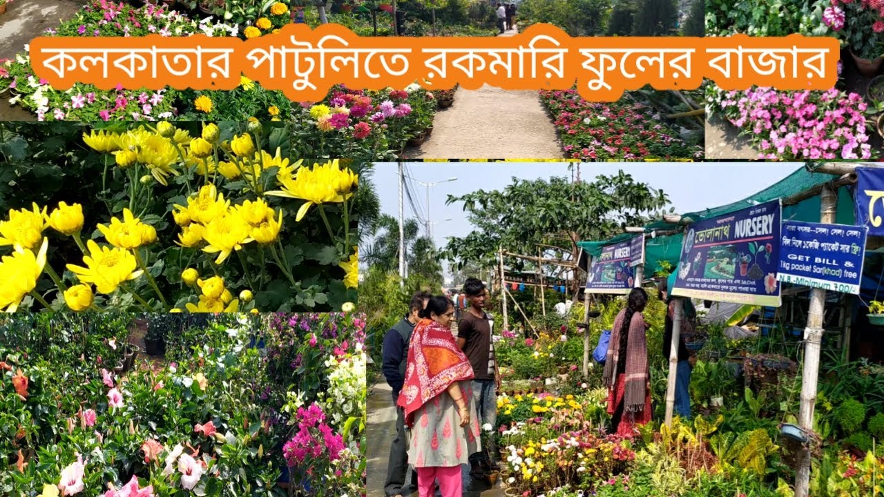 Kolkata Flower Plant Market YouTube