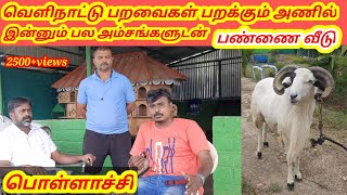 POLLACHI FARM HOUSE| வெளிநாட்டு பறவைகள் மற்றும் பறக்கும் அணில்| பொள்ளாச்சியில் பண்ணை வீடு by Voice of Gow 3,863 views 2 years ago 10 minutes, 53 seconds