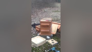 Putting a bee package in a Warre hive ..