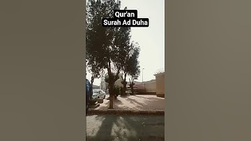 القرآن سورة الضحى #egzonibrahimi #quran #adduha